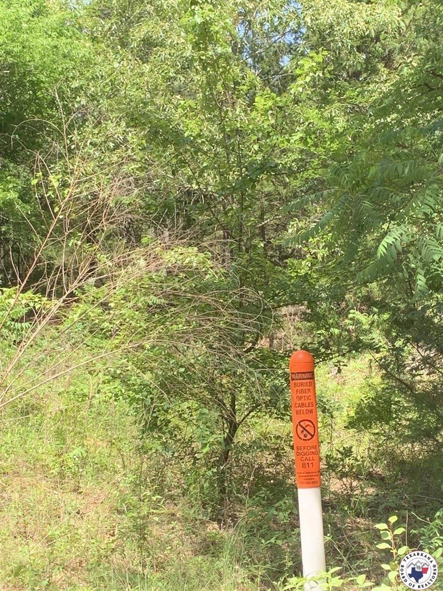 40 Acres PR 1187, Texarkana, AR 71854