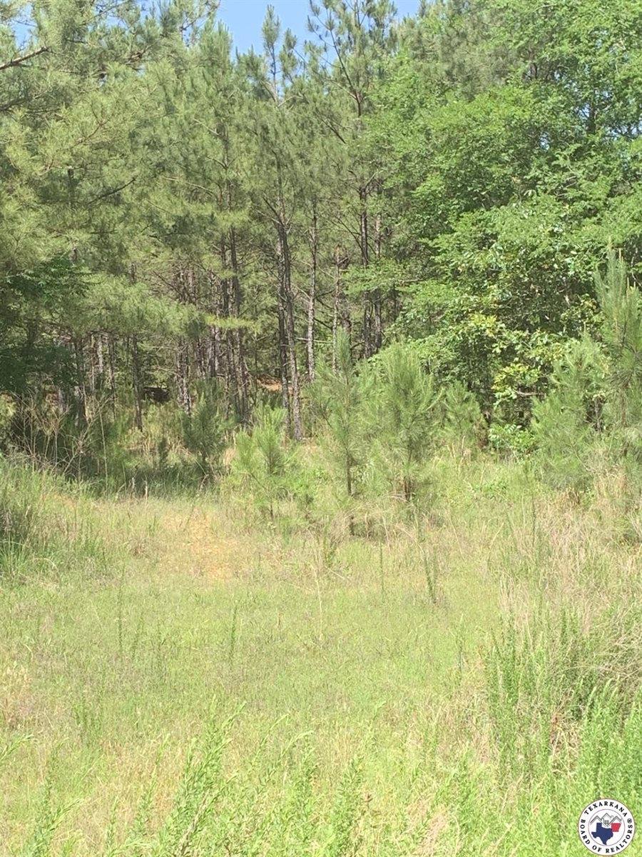 40 Acres PR 1187, Texarkana, AR 71854