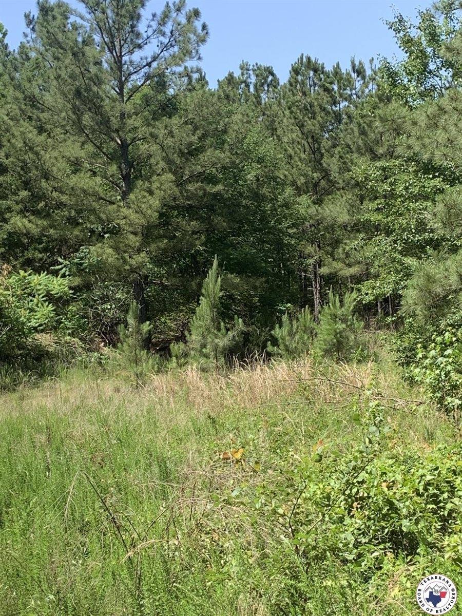 40 Acres PR 1187, Texarkana, AR 71854
