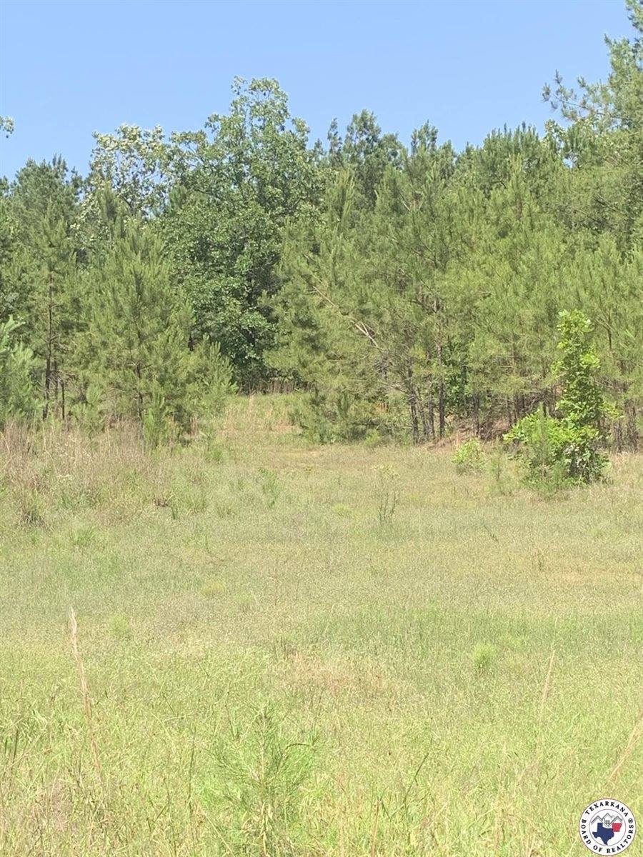 40 Acres PR 1187, Texarkana, AR 71854