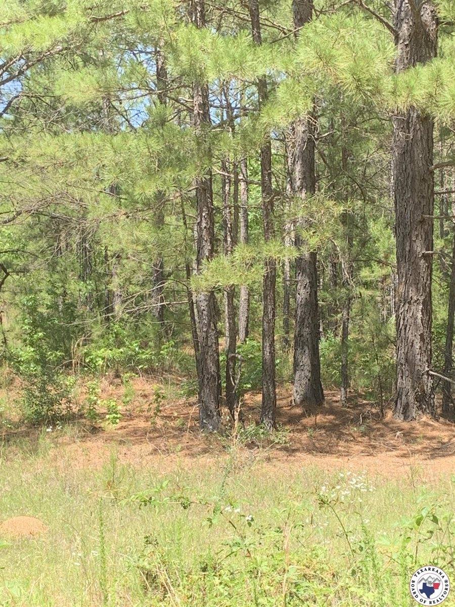40 Acres PR 1187, Texarkana, AR 71854