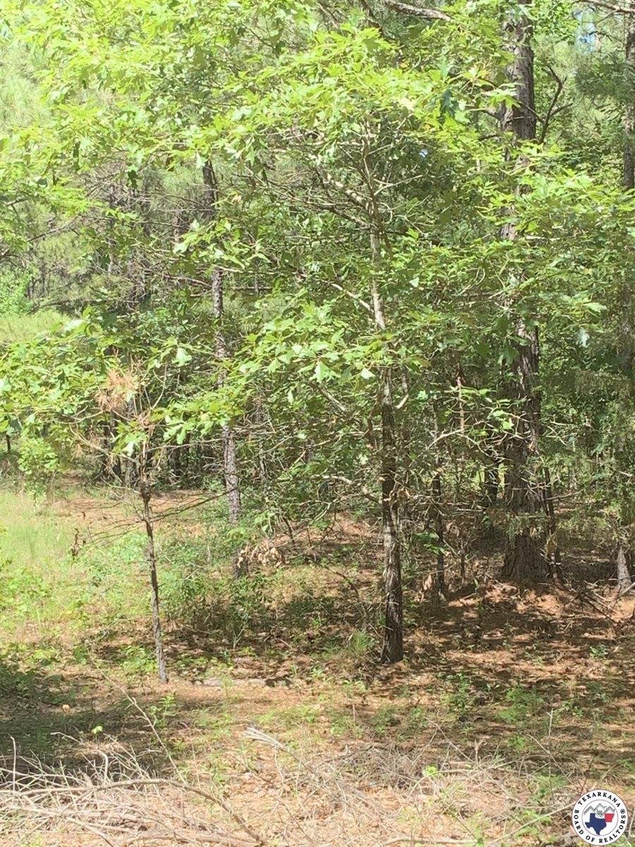 40 Acres PR 1187, Texarkana, AR 71854