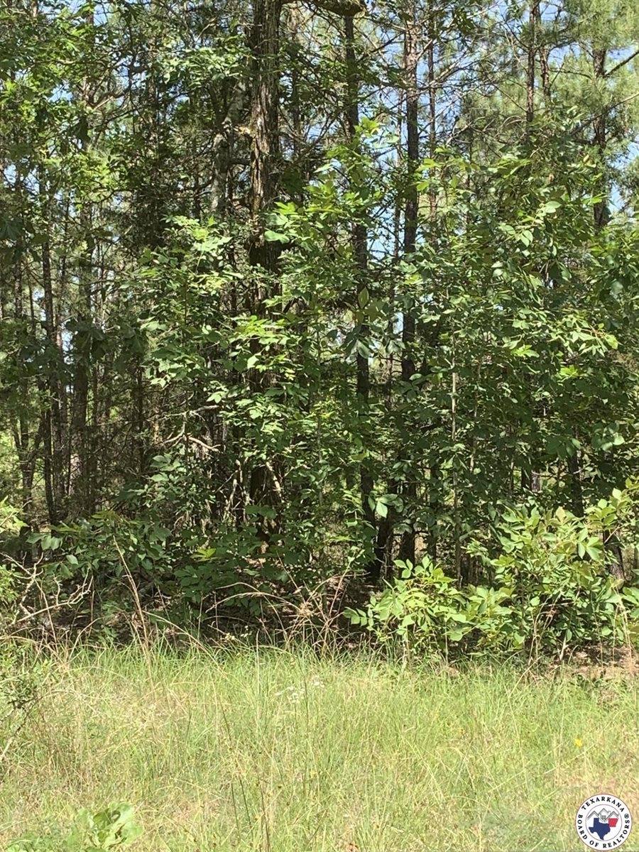 40 Acres PR 1187, Texarkana, AR 71854