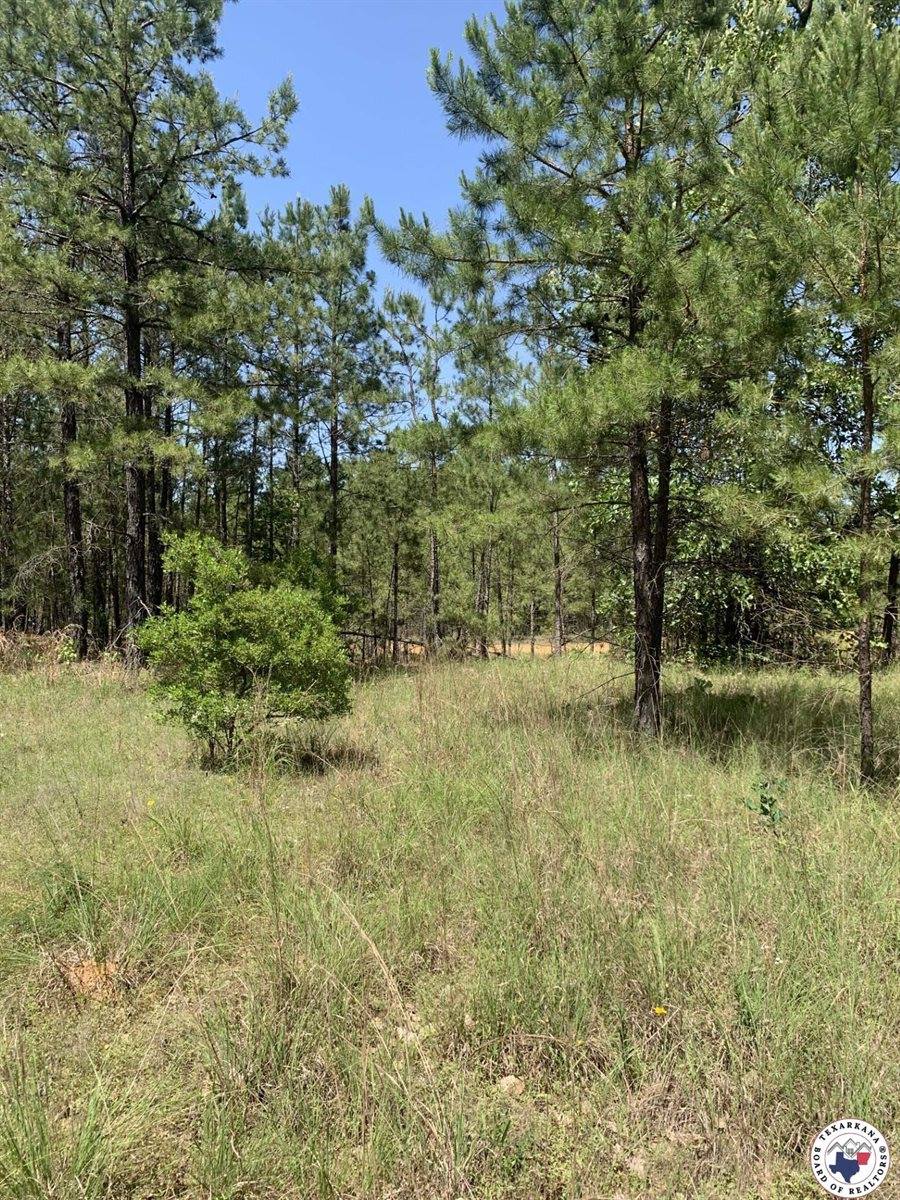 40 Acres PR 1187, Texarkana, AR 71854