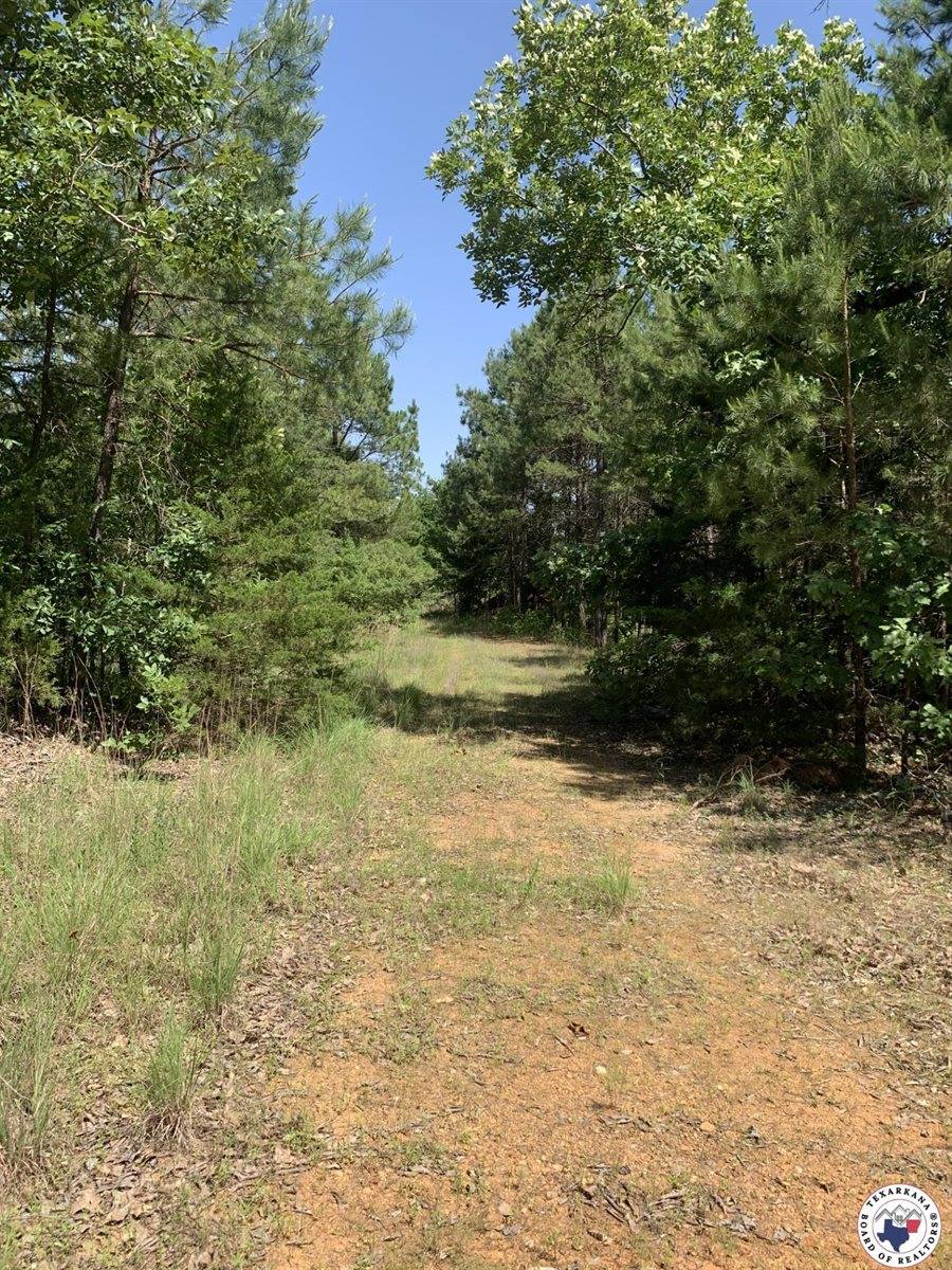 40 Acres PR 1187, Texarkana, AR 71854