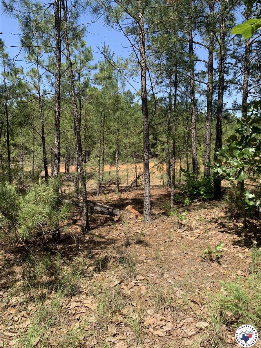 40 Acres PR 1187, Texarkana, AR 71854