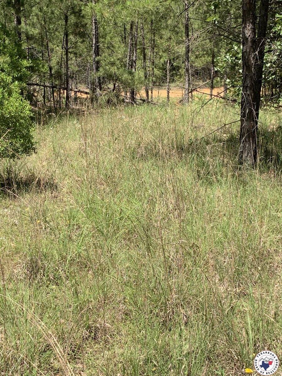 40 Acres PR 1187, Texarkana, AR 71854