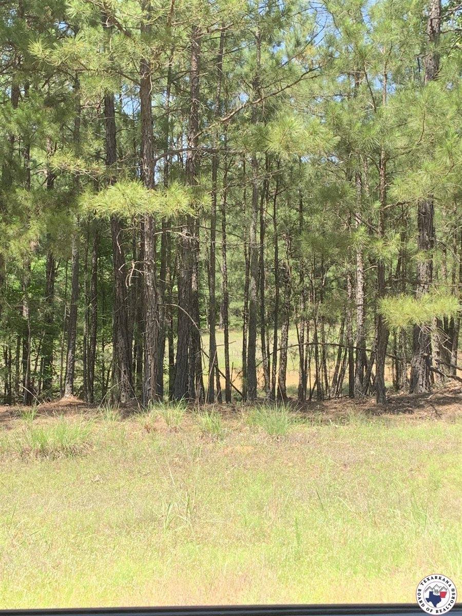 40 Acres PR 1187, Texarkana, AR 71854