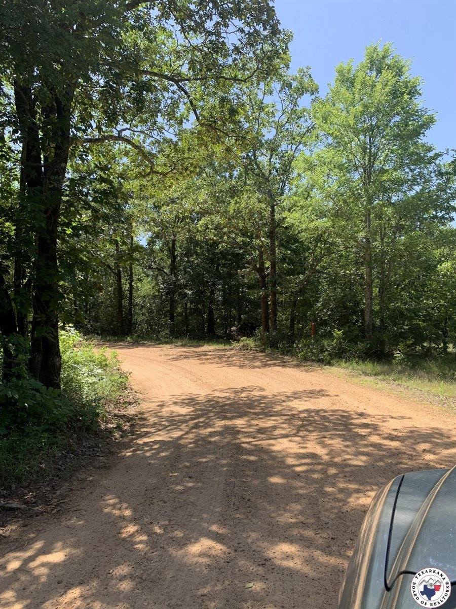 40 Acres PR 1187, Texarkana, AR 71854