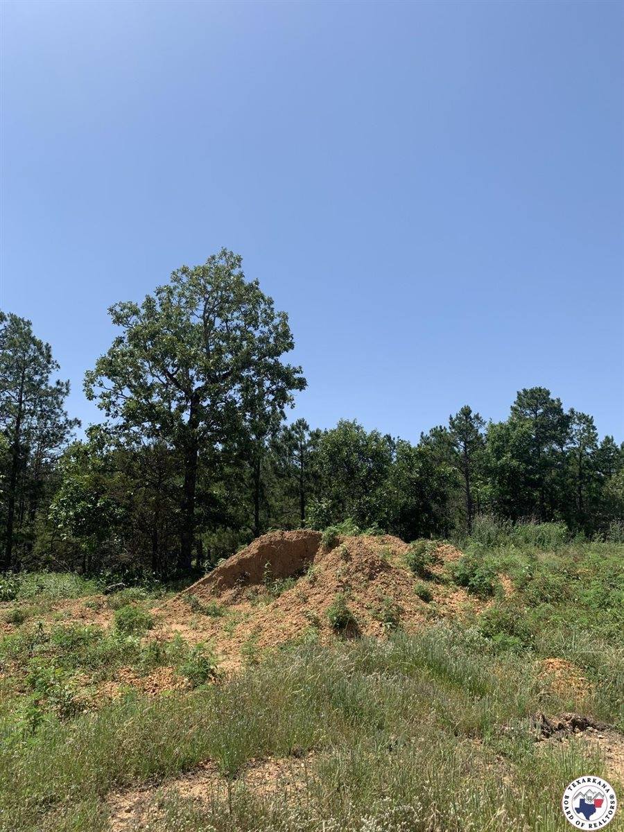 40 Acres PR 1187, Texarkana, AR 71854