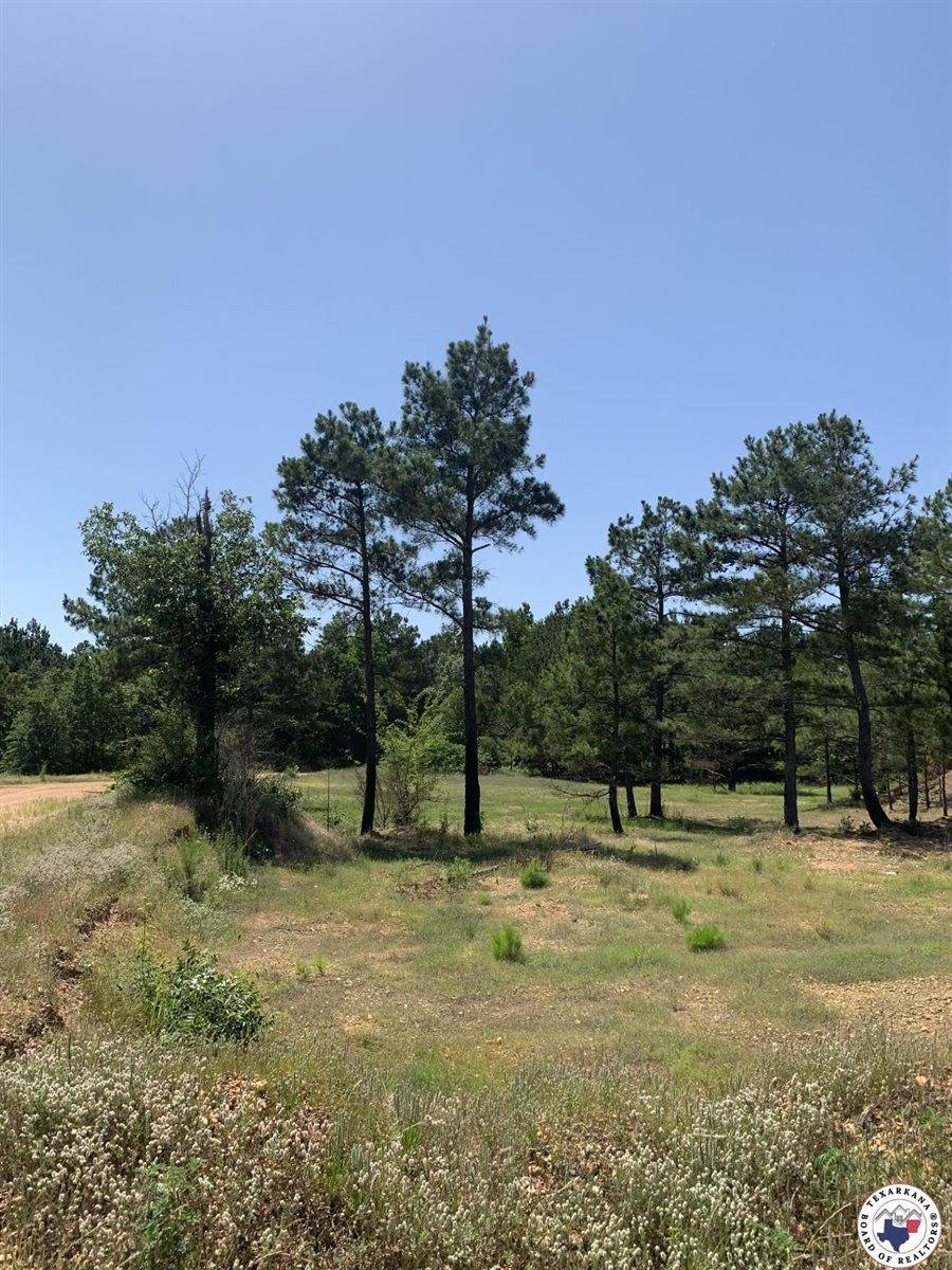 40 Acres PR 1187, Texarkana, AR 71854