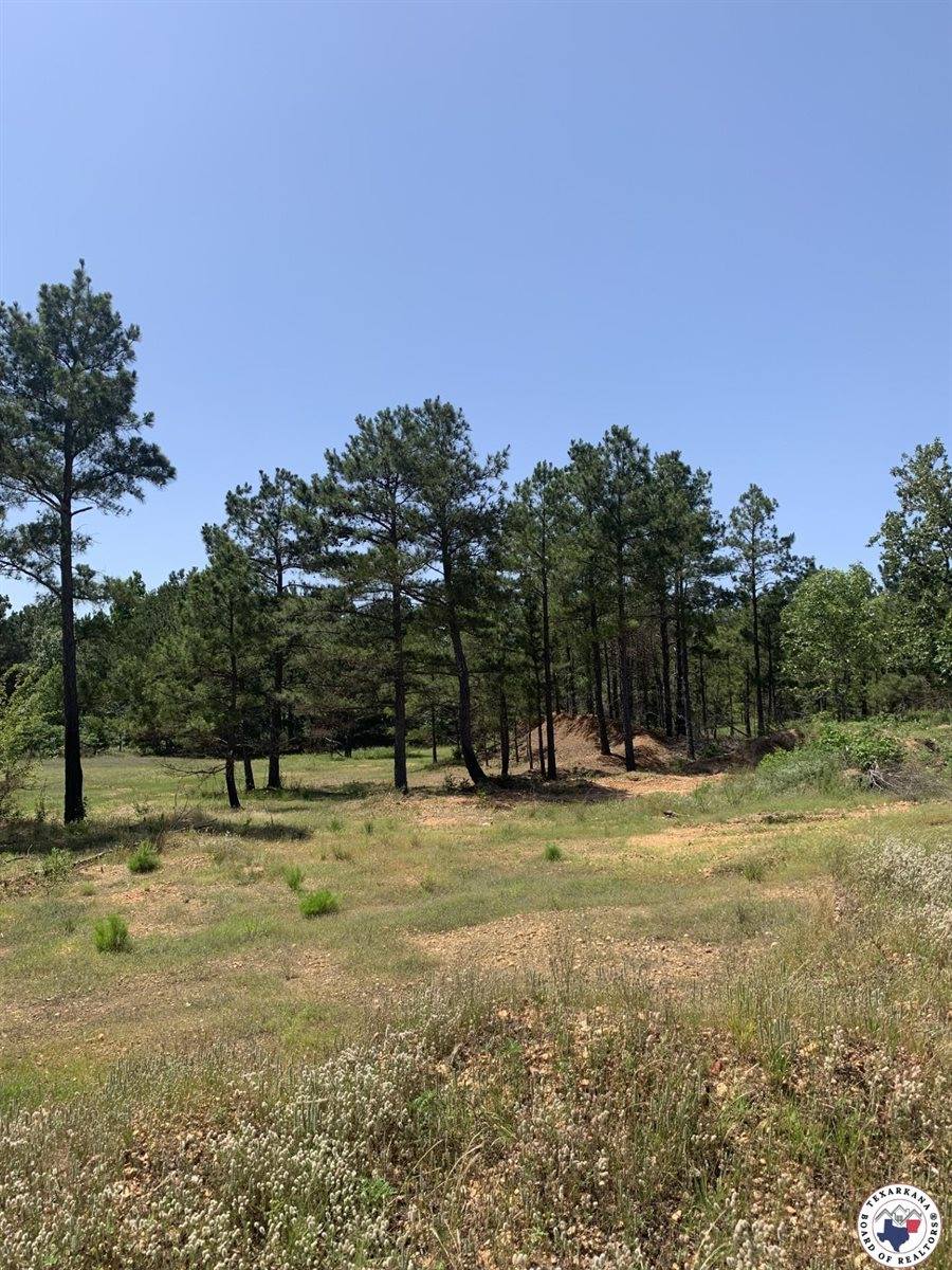 40 Acres PR 1187, Texarkana, AR 71854