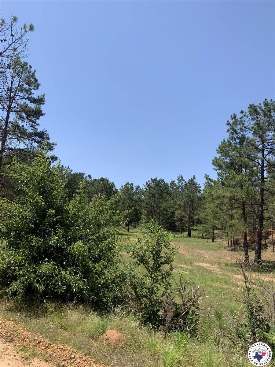 40 Acres PR 1187, Texarkana, AR 71854