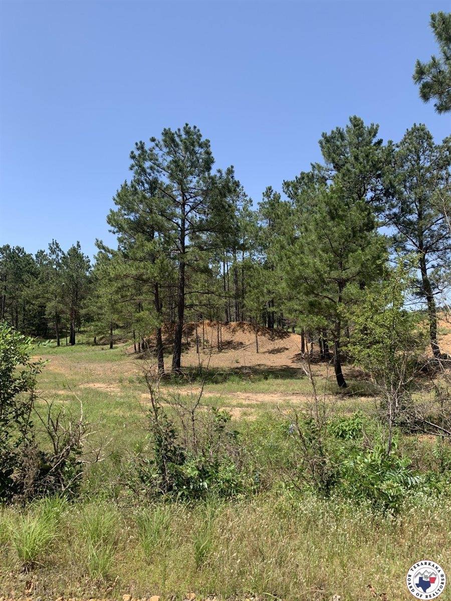 40 Acres PR 1187, Texarkana, AR 71854