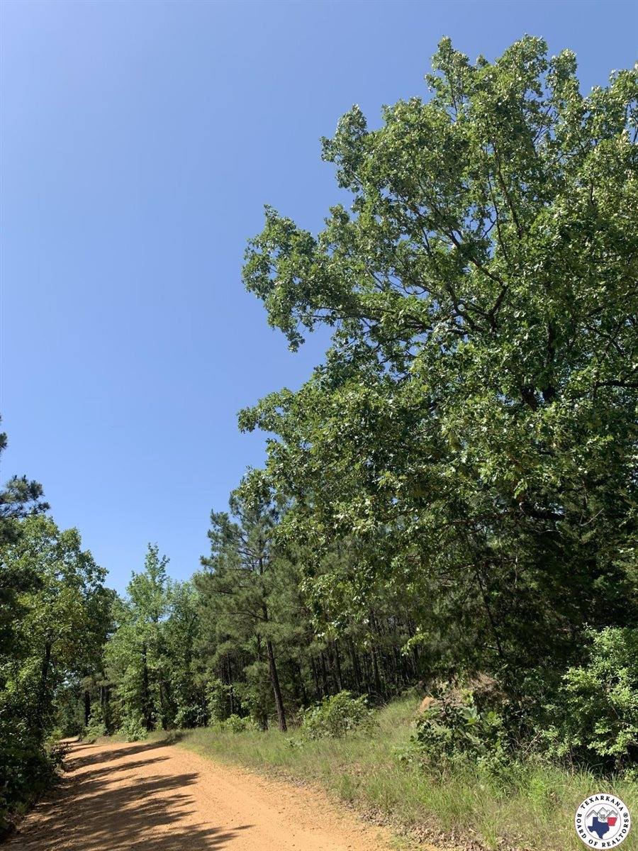 40 Acres PR 1187, Texarkana, AR 71854