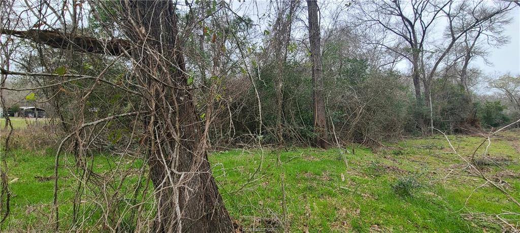 1806 Walnut Drive, Caldwell, TX 77836