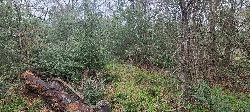 1806 Walnut Drive, Caldwell, TX 77836