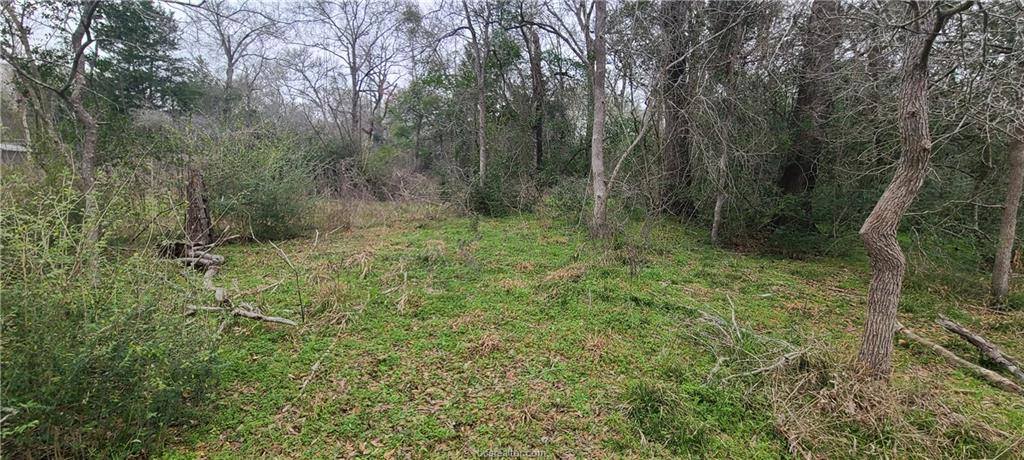 1806 Walnut Drive, Caldwell, TX 77836