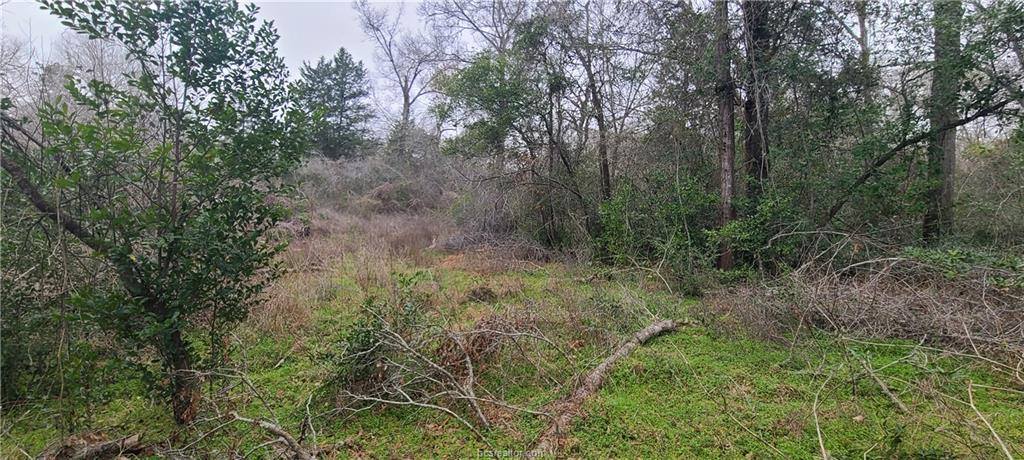 1806 Walnut Drive, Caldwell, TX 77836