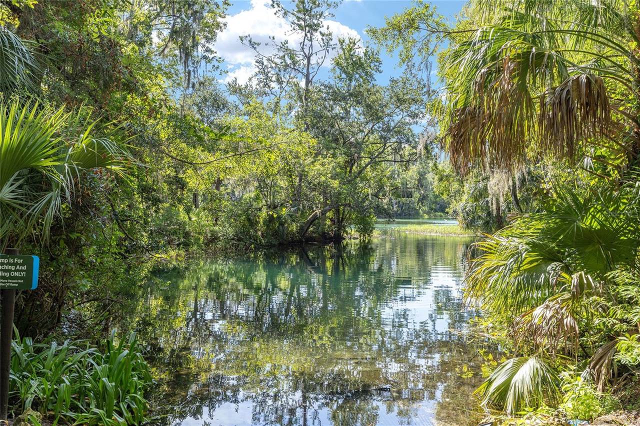 7834 SW 194TH Court, Dunnellon, FL 34432