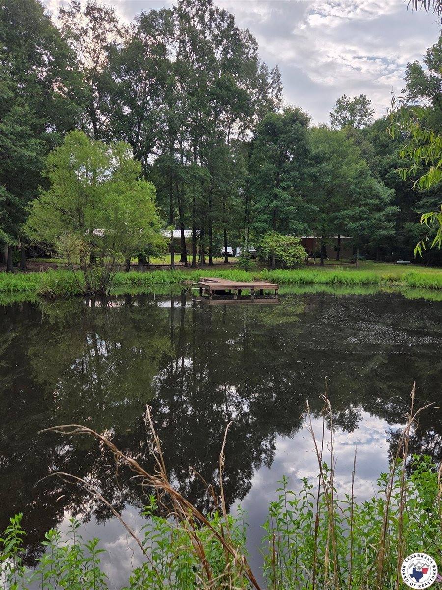 1131 County Road 1203, Maud, TX 75567