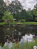 1131 County Road 1203, Maud, TX 75567