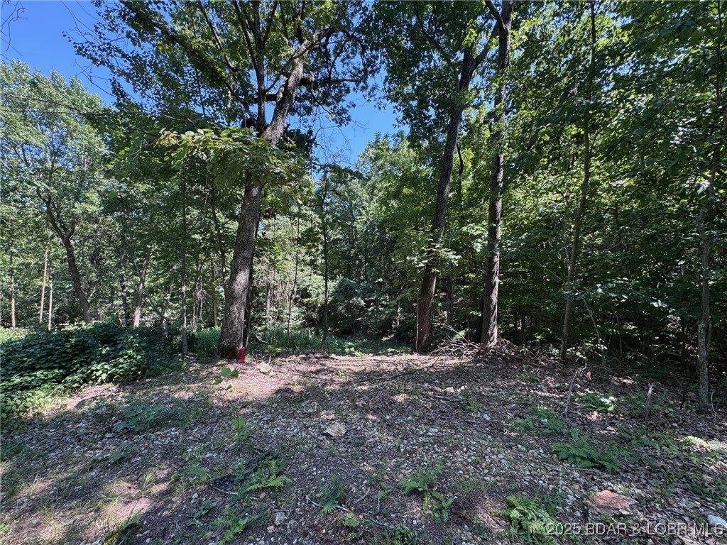 TBD Lodge Drive, Edwards, MO 65326