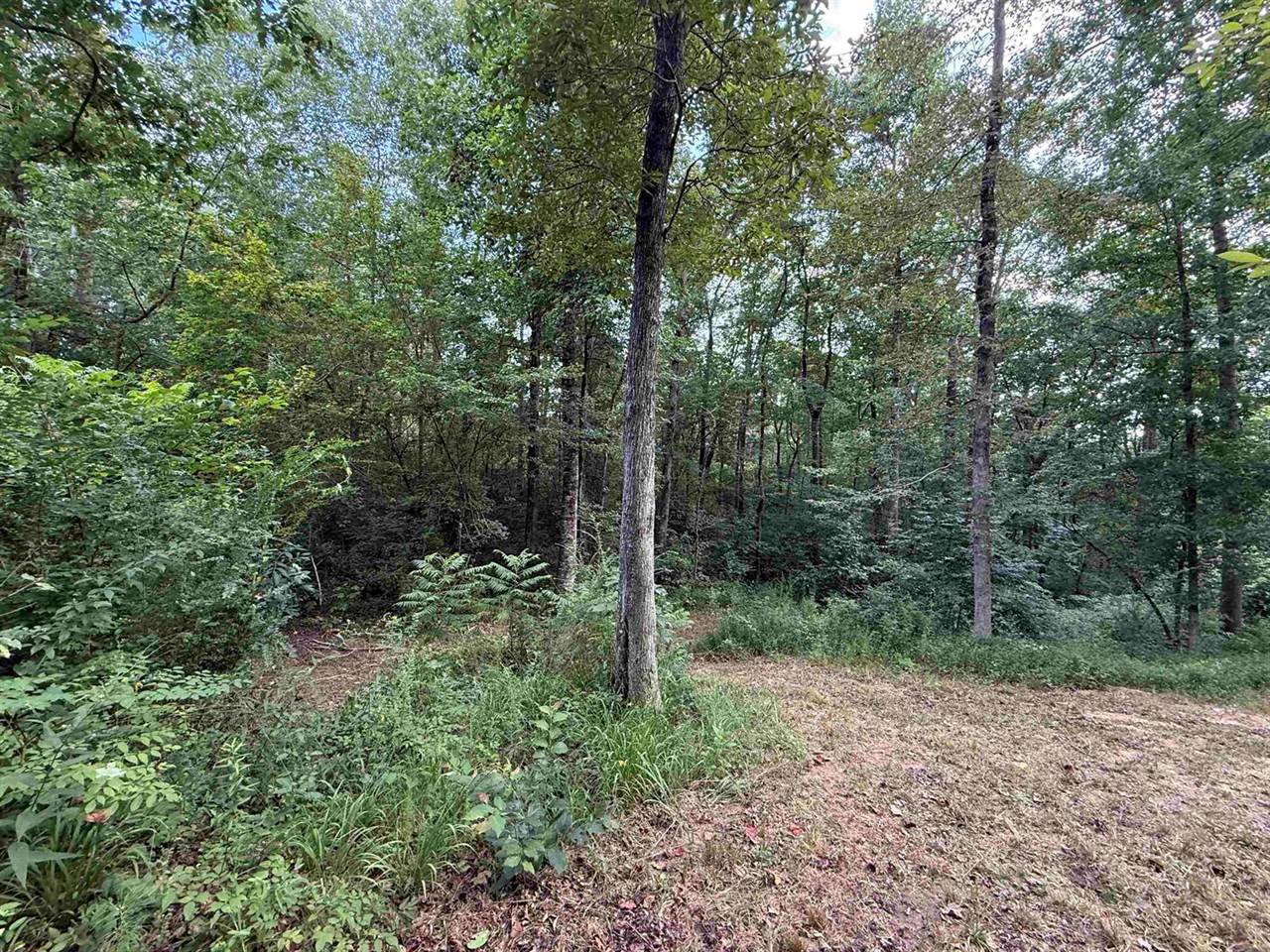 0.66AC Co Rd 1606, Cullman, AL 35058