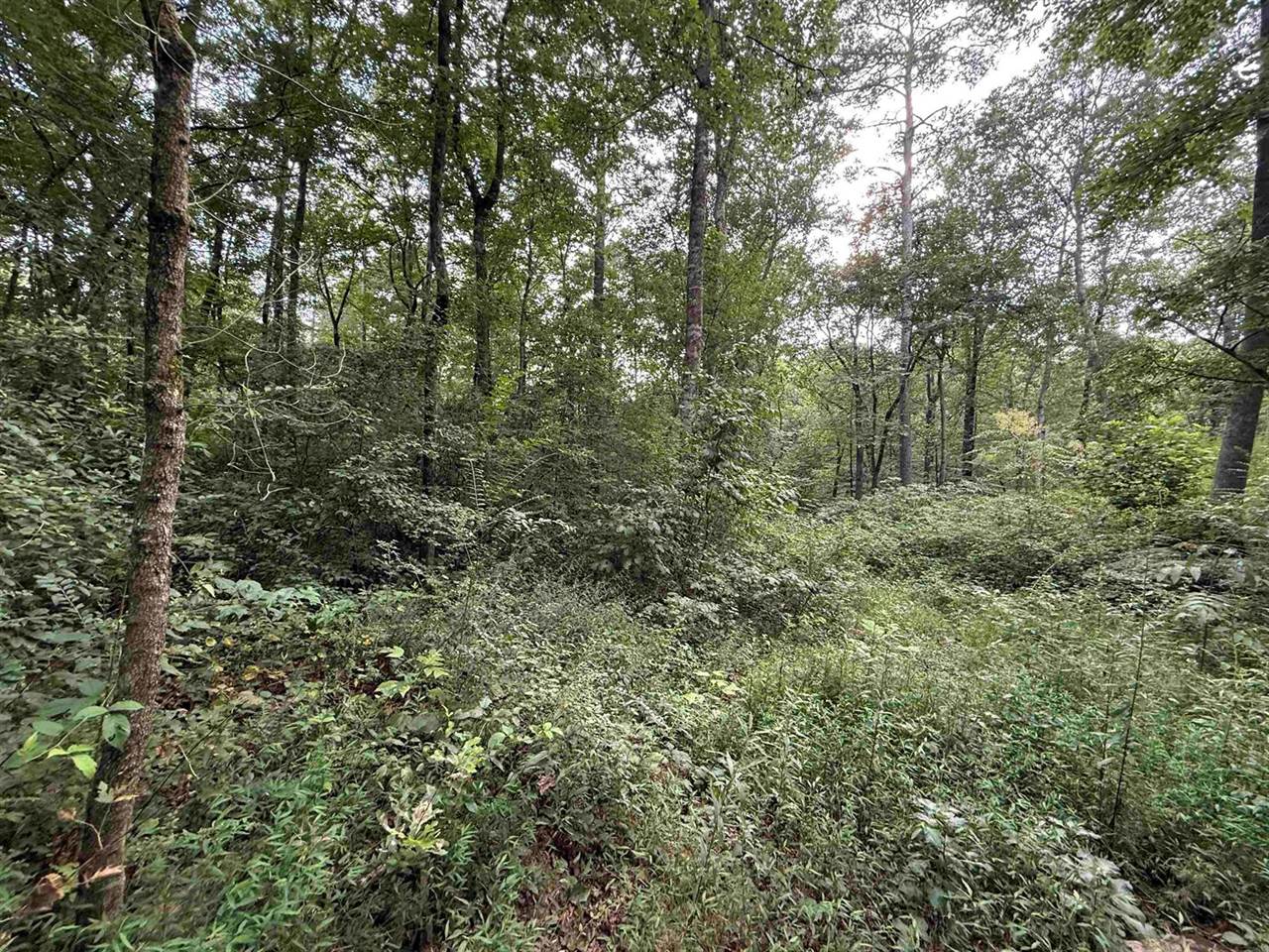 0.66AC Co Rd 1606, Cullman, AL 35058