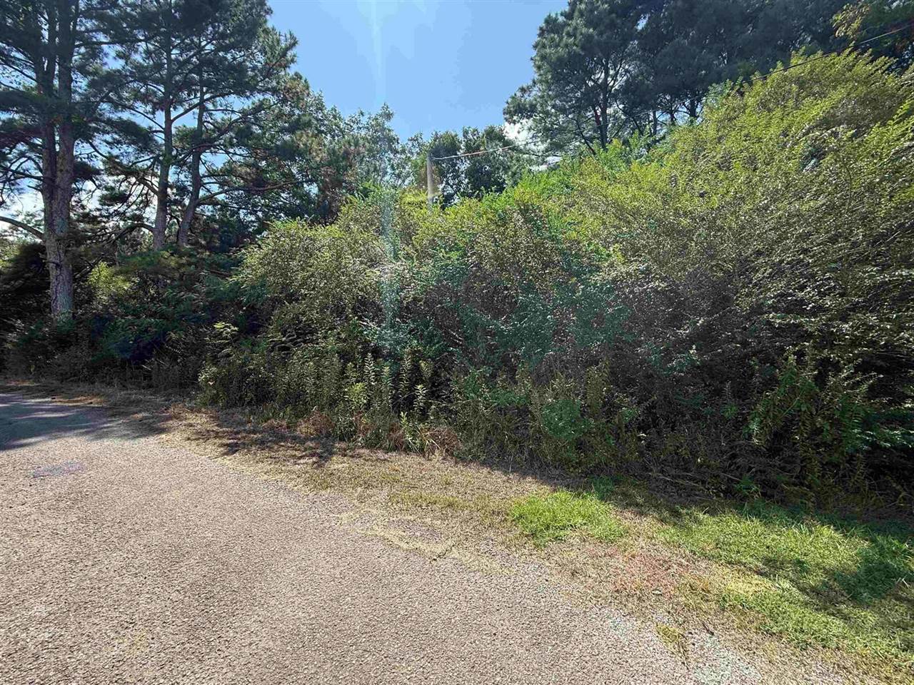 0 Co Rd 1038, Vinemont, AL 35179