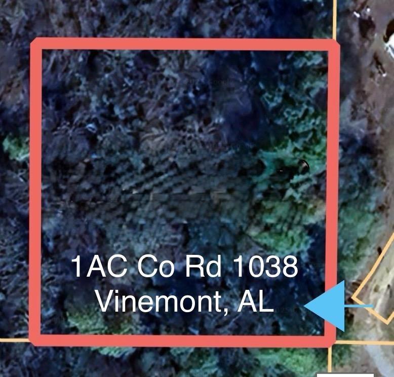 0 Co Rd 1038, Vinemont, AL 35179