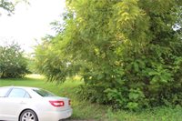 210-214 Springdale Avenue, Bonner Springs, KS 66012