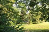 210-214 Springdale Avenue, Bonner Springs, KS 66012