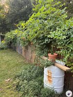 134 Presidio Place, Wake Village, TX 75501