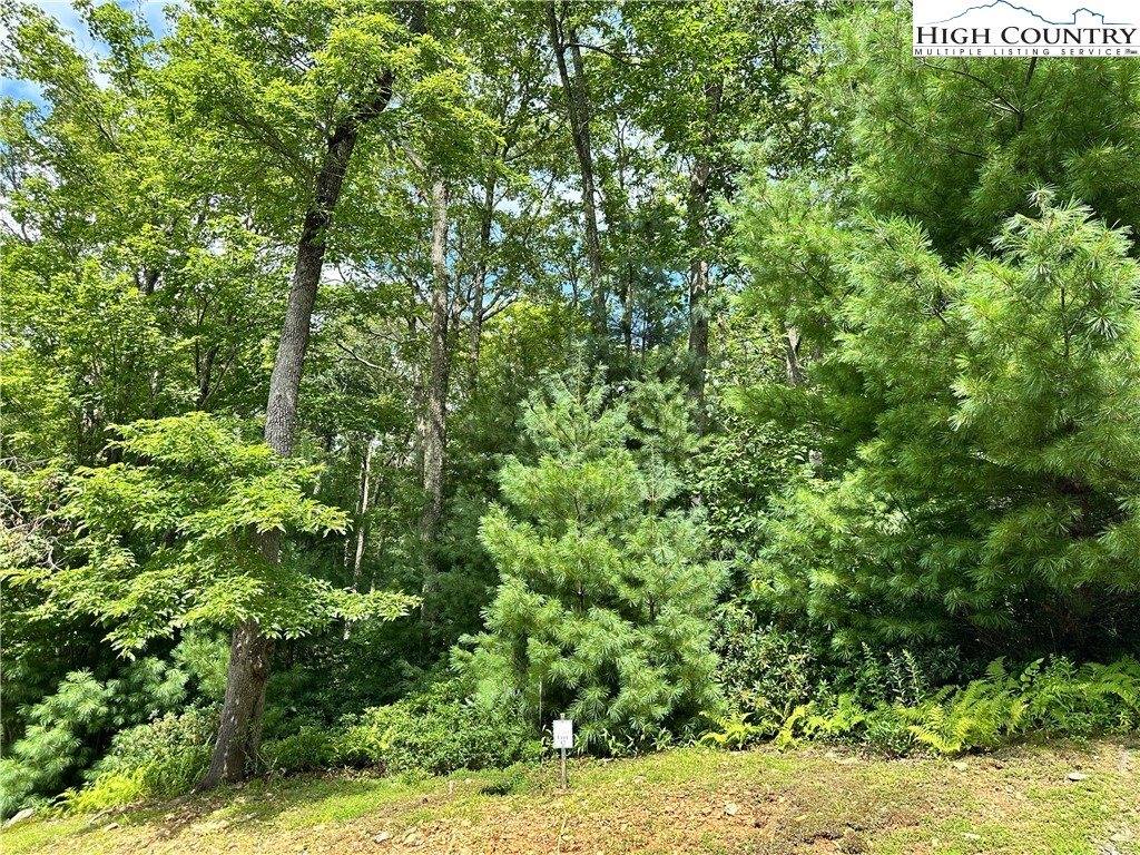 Lot 16 Sunset Ridge Drive, Boone, NC 28607