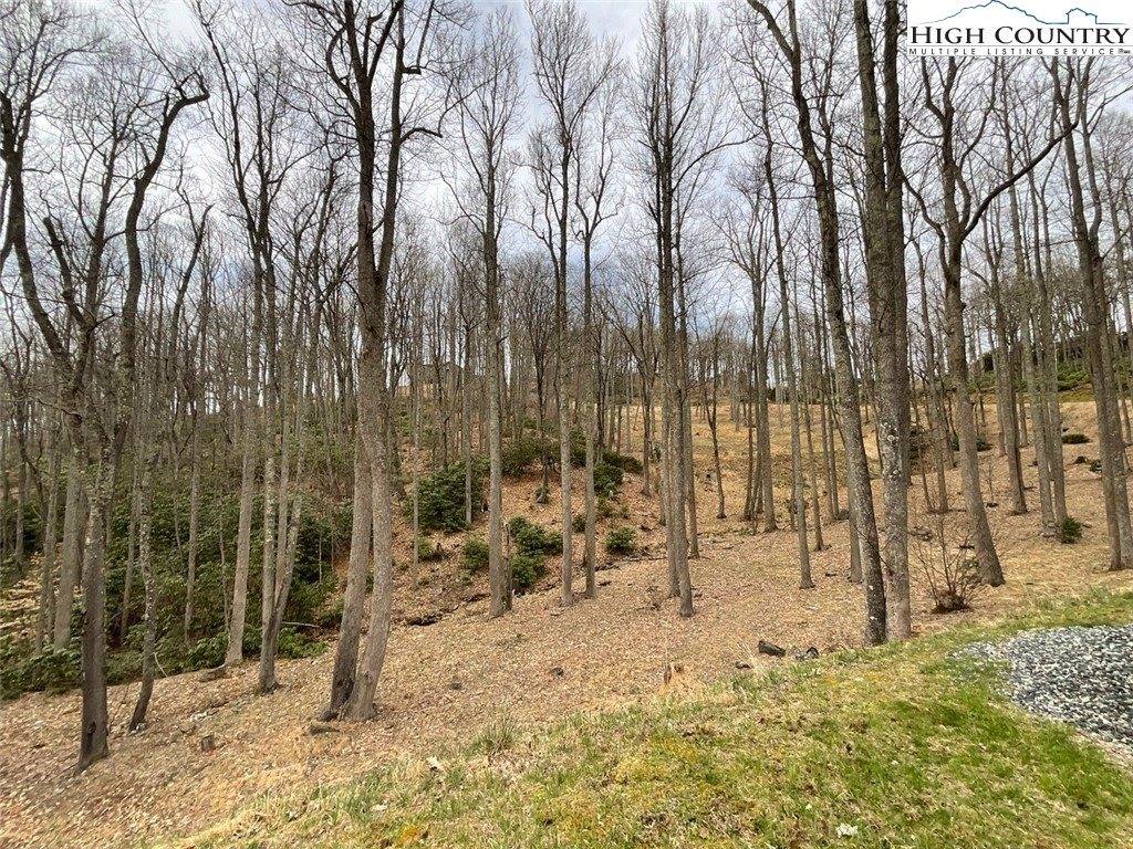 Lot 16 Sunset Ridge Drive, Boone, NC 28607