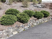 Lot 16 Sunset Ridge Drive, Boone, NC 28607
