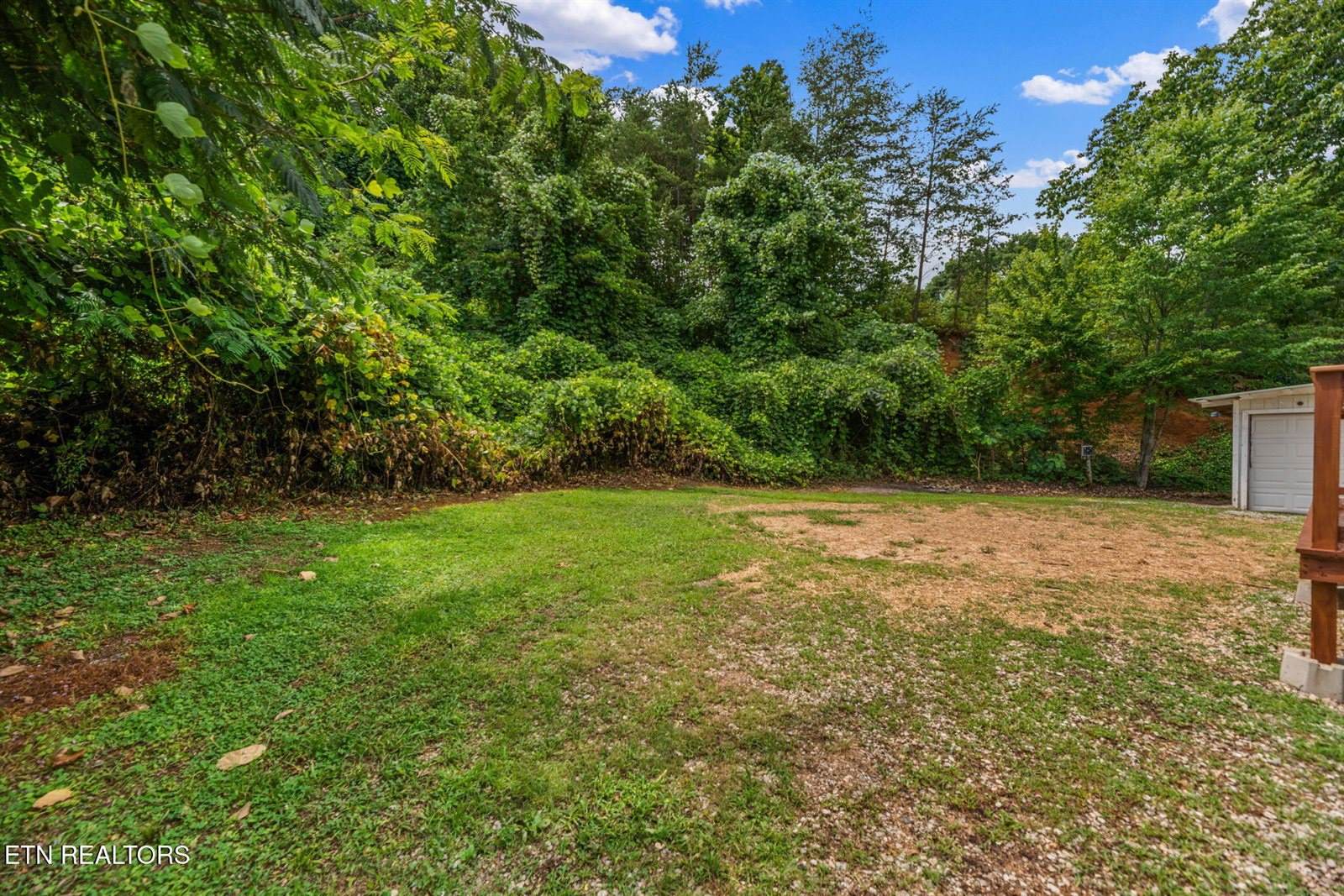 370 New Clear Branch Rd, Rocky Top, TN 37769