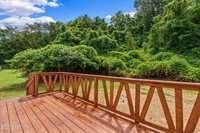 370 New Clear Branch Rd, Rocky Top, TN 37769