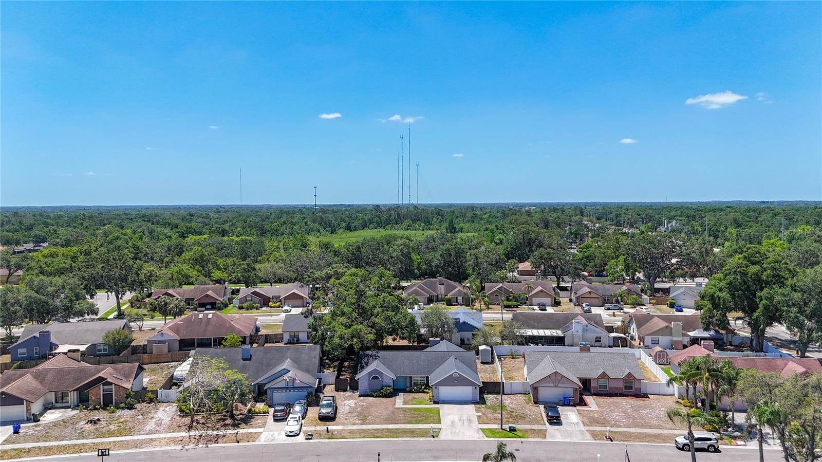 1005 Cameo Crest Lane, Valrico, FL 33596