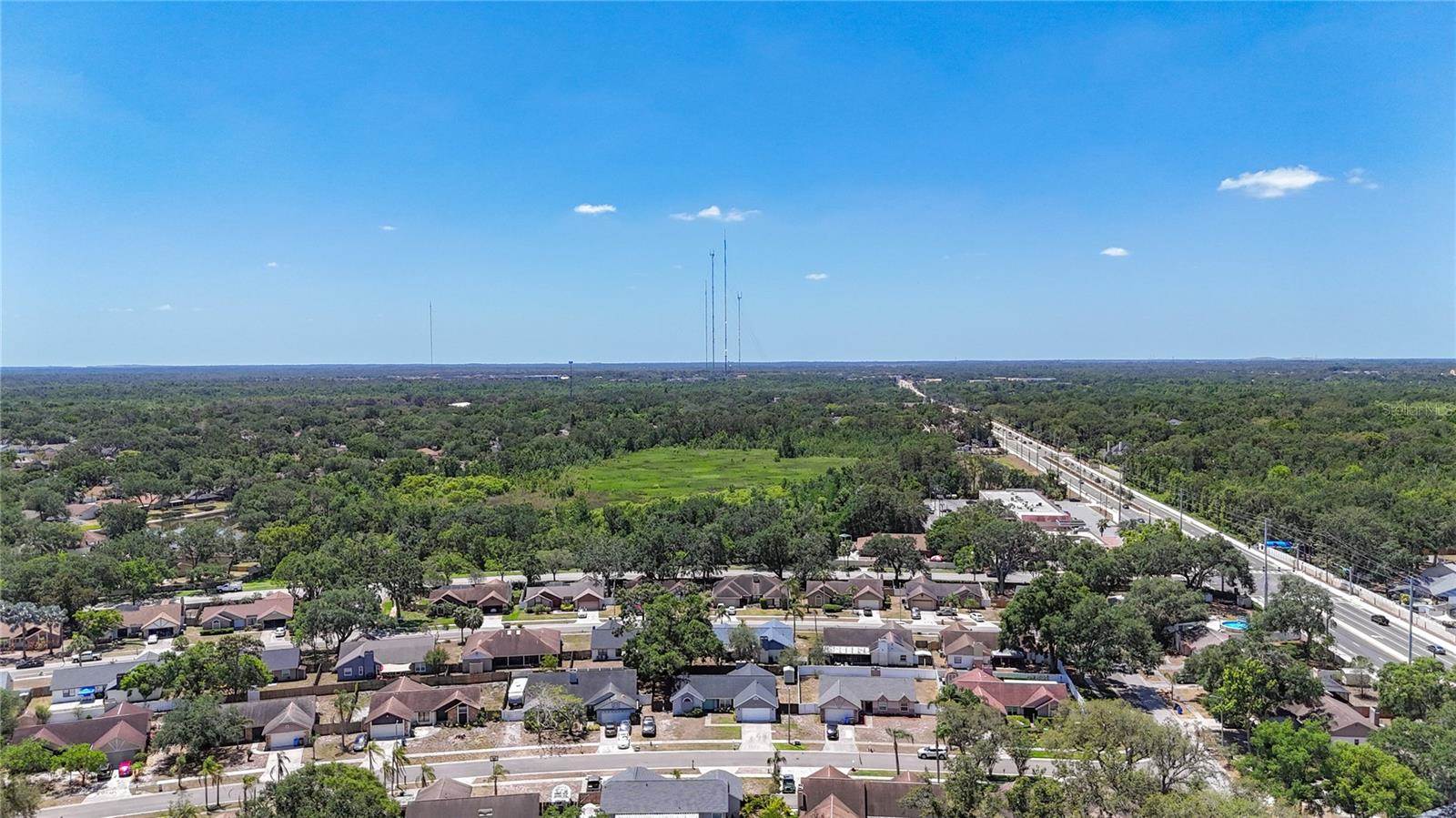 1005 Cameo Crest Lane, Valrico, FL 33596