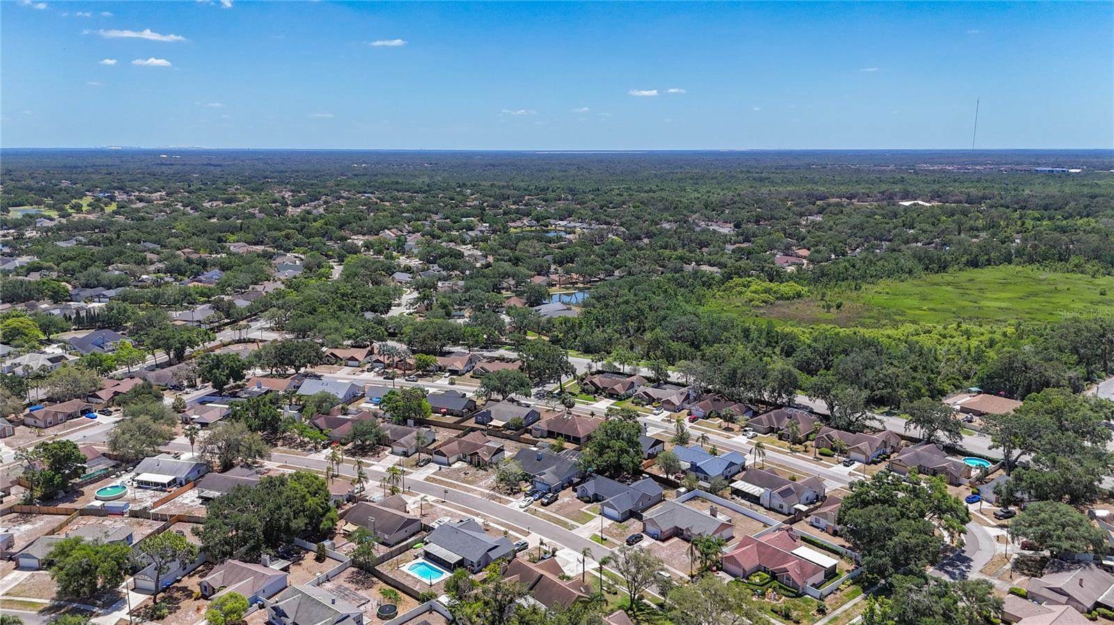 1005 Cameo Crest Lane, Valrico, FL 33596