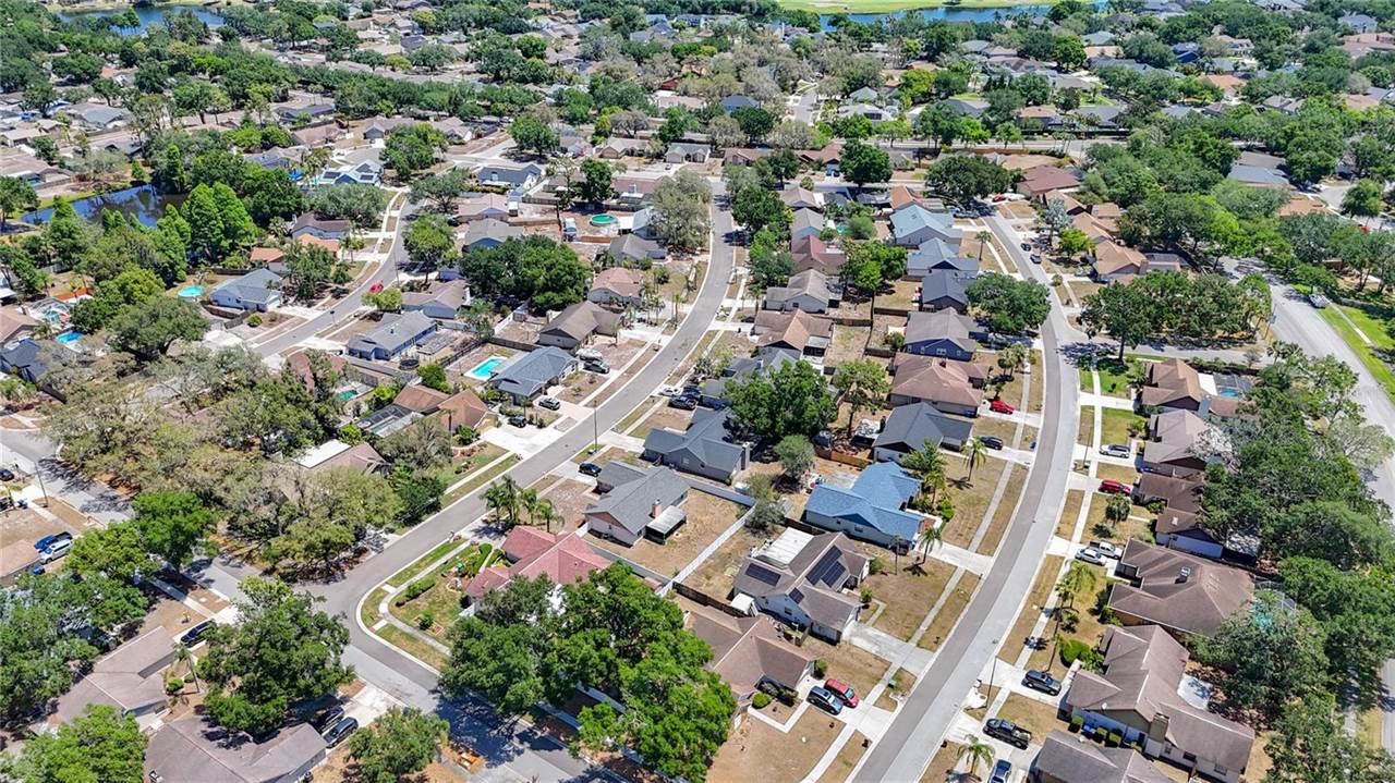 1005 Cameo Crest Lane, Valrico, FL 33596