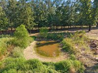 11 S Beryl Road, Jacksonville, AR 72076