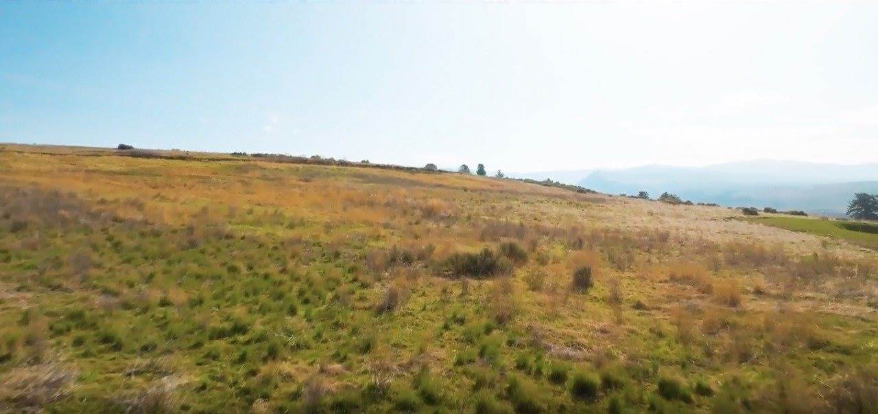 NHN Lot 2 TK Court, Florence, MT 59833