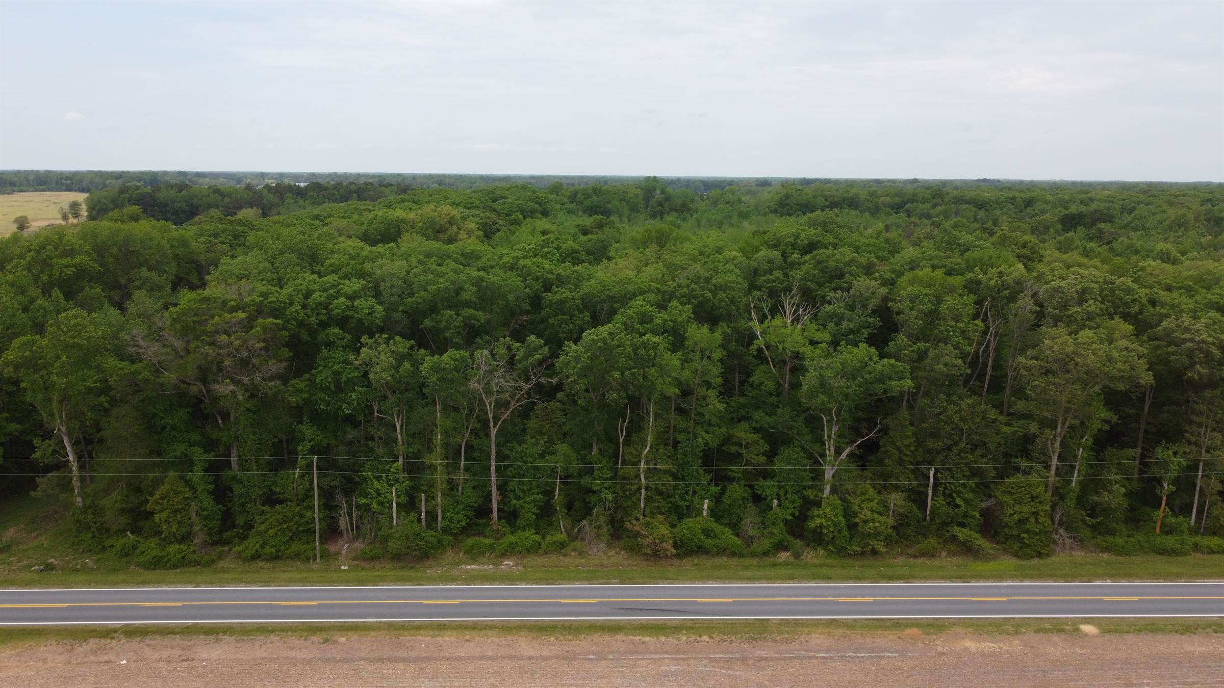 Lot 19 Burnite Mill Rd, Felton, DE 19943