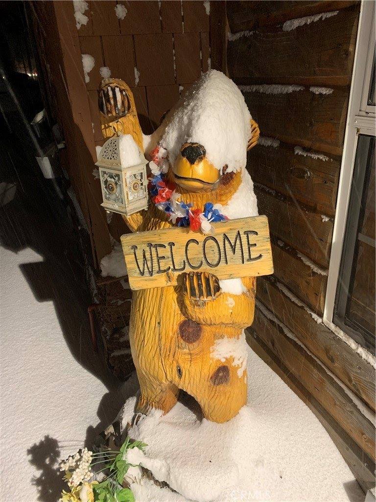 450 Georgia Street, Big Bear Lake, CA 92315