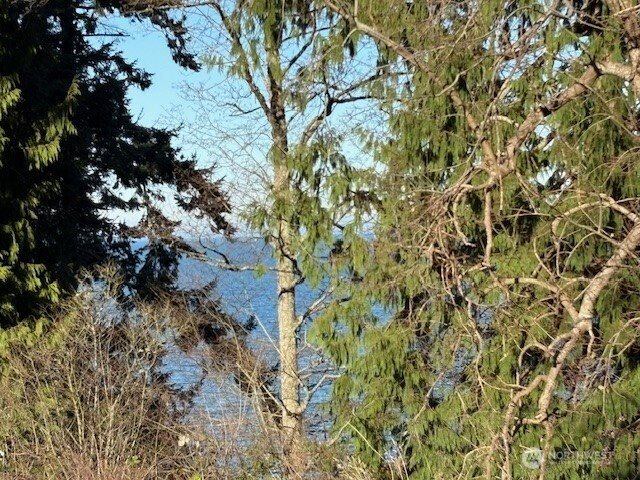 4904 Roney Road, Bow, WA 98232