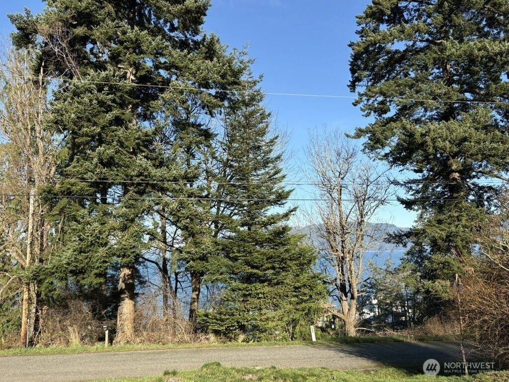 4904 Roney Road, Bow, WA 98232