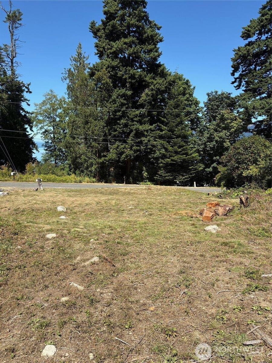 4904 Roney Road, Bow, WA 98232